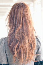 2014еĴ˾ Ȼ