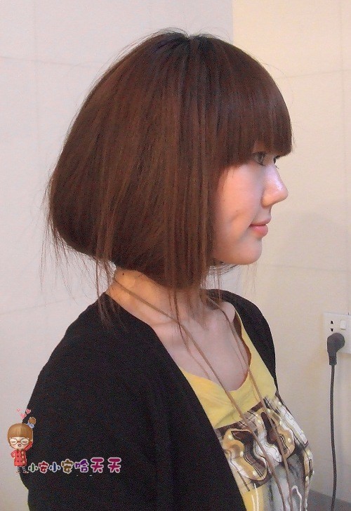 BOBOͷĴݱ diy